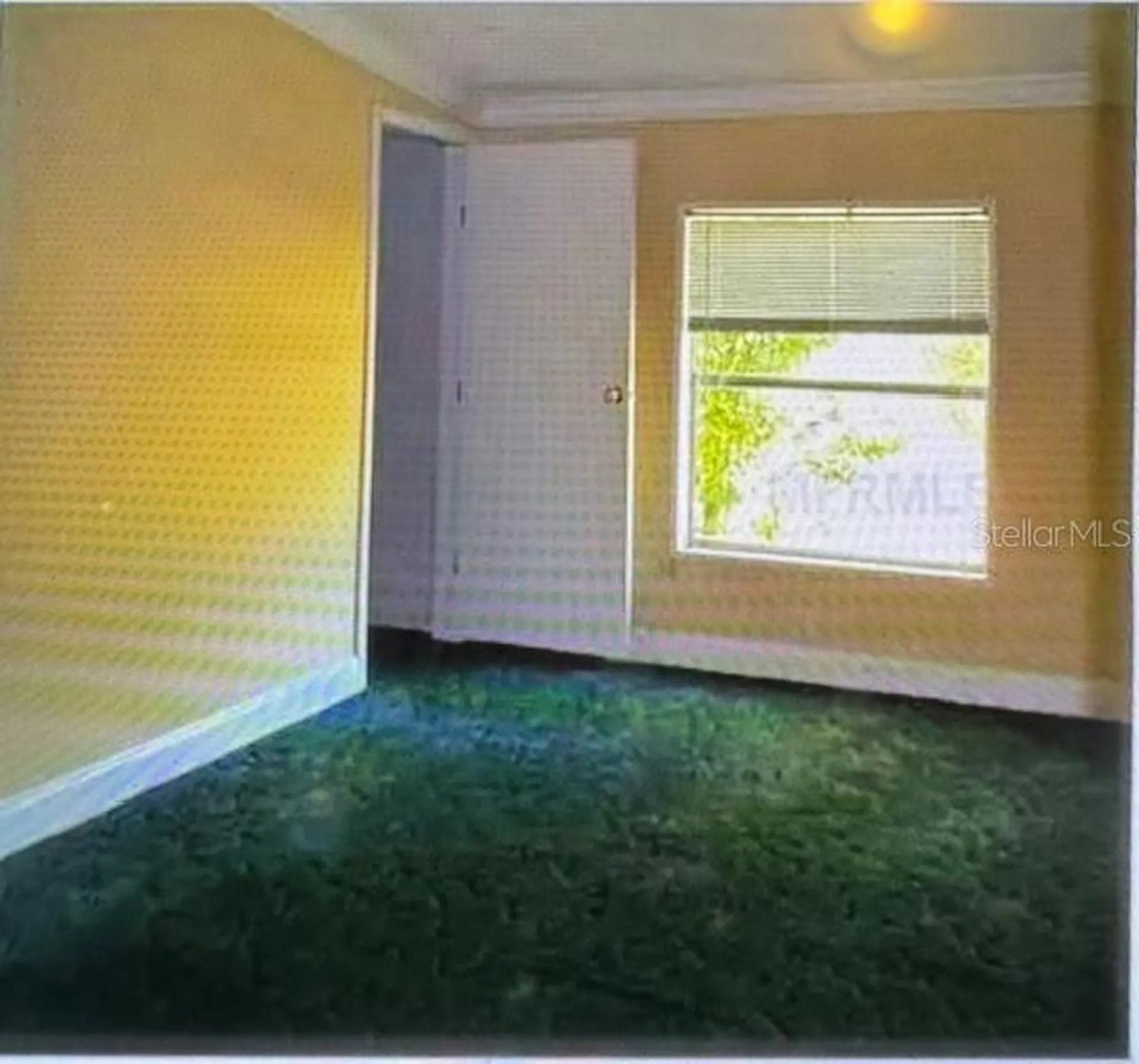 6721 Coronet Road Lakeland FL 33811