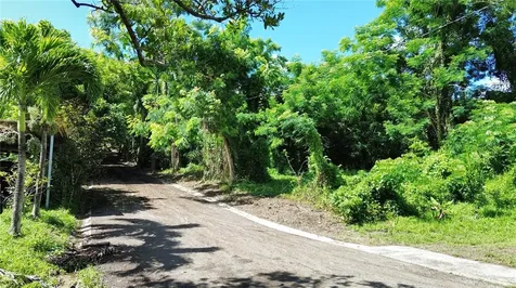 Calle Balbino Rosa Luquillo PR 00773