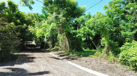 Calle Balbino Rosa Luquillo PR 00773