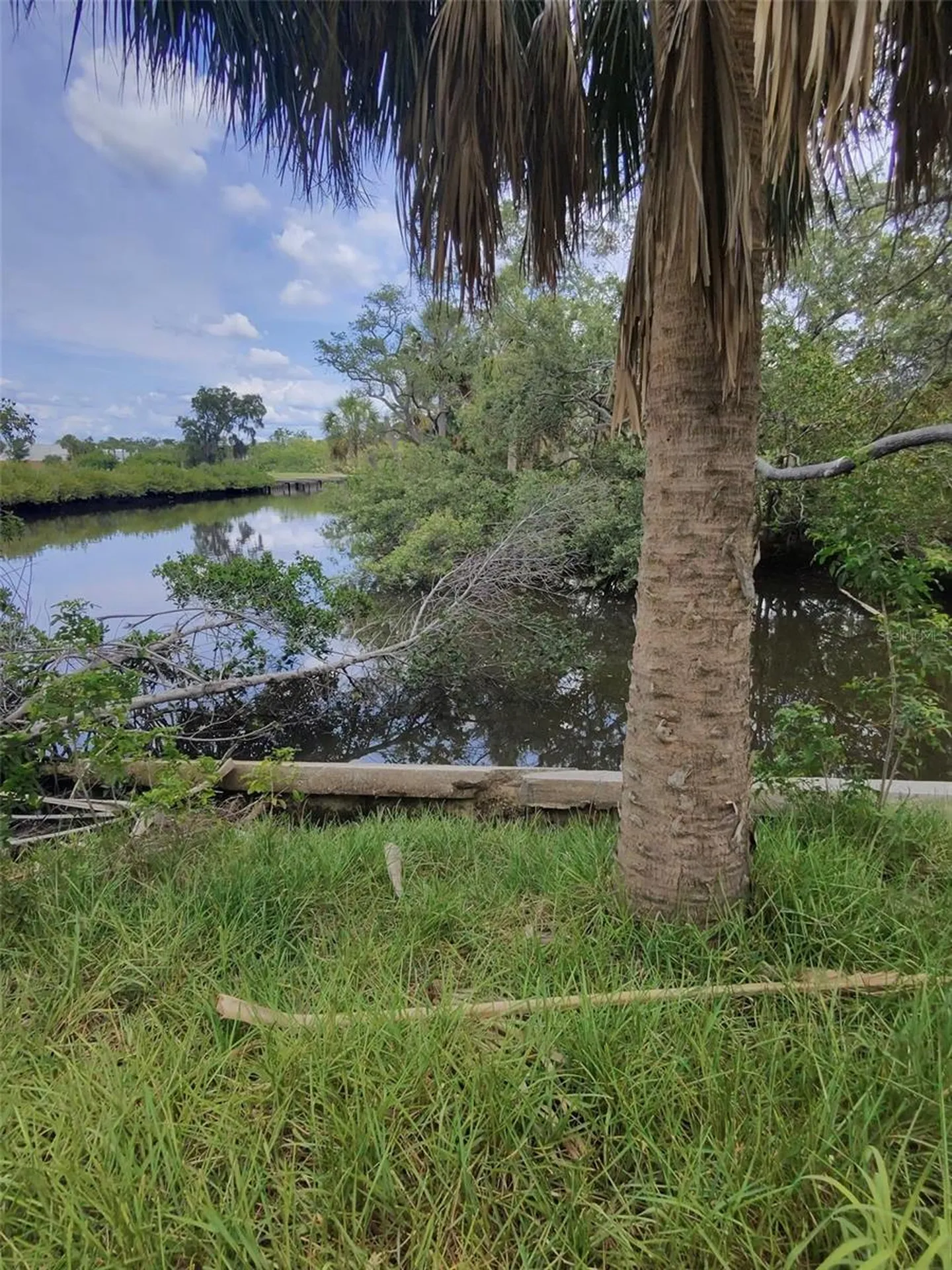 190 Meres Boulevard Tarpon Springs FL 34689