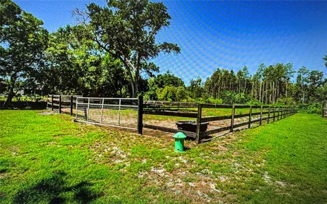 10502 Henderson Road Tampa FL 33625