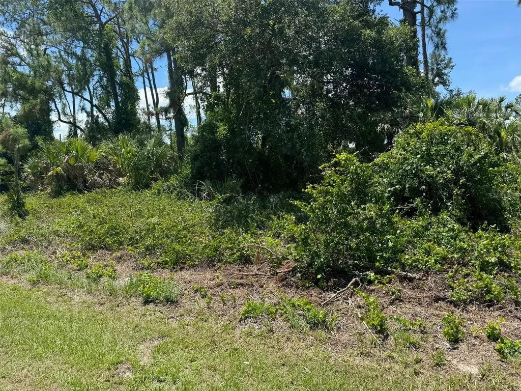 SW 135th Street Road Ocala FL 34473