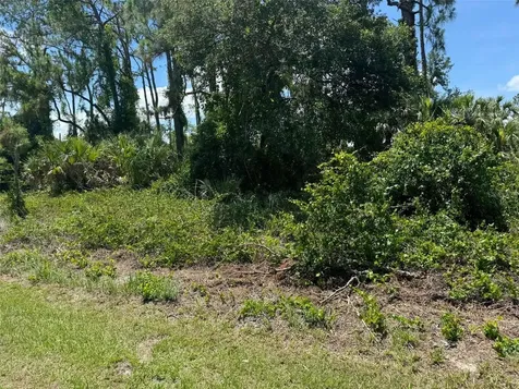SW 135th Street Road Ocala FL 34473