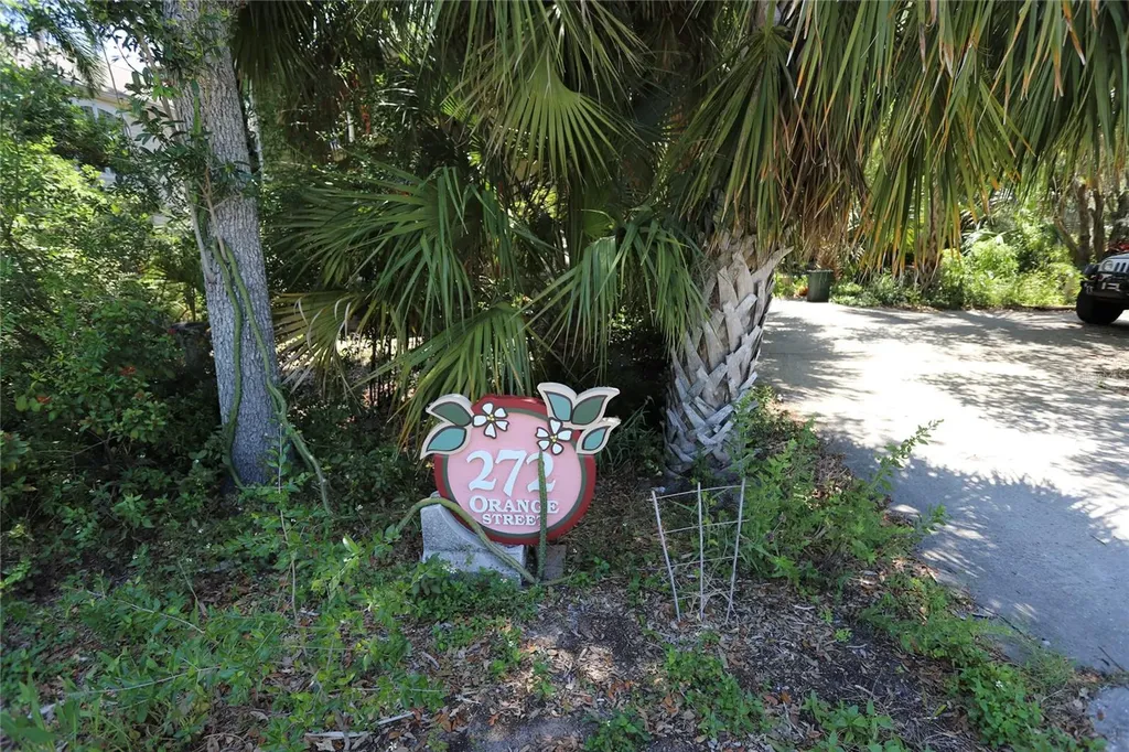 272 Orange Street Palm Harbor FL 34683