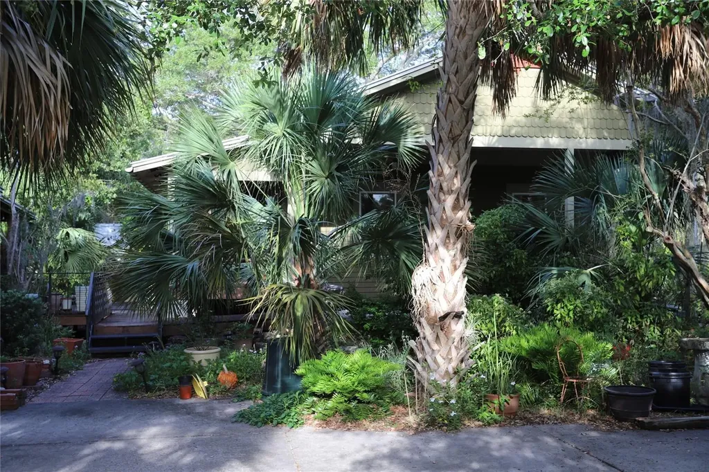 272 Orange Street Palm Harbor FL 34683