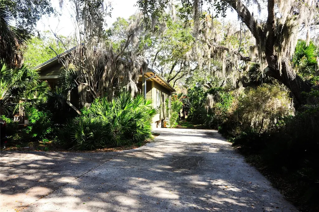 272 Orange Street Palm Harbor FL 34683