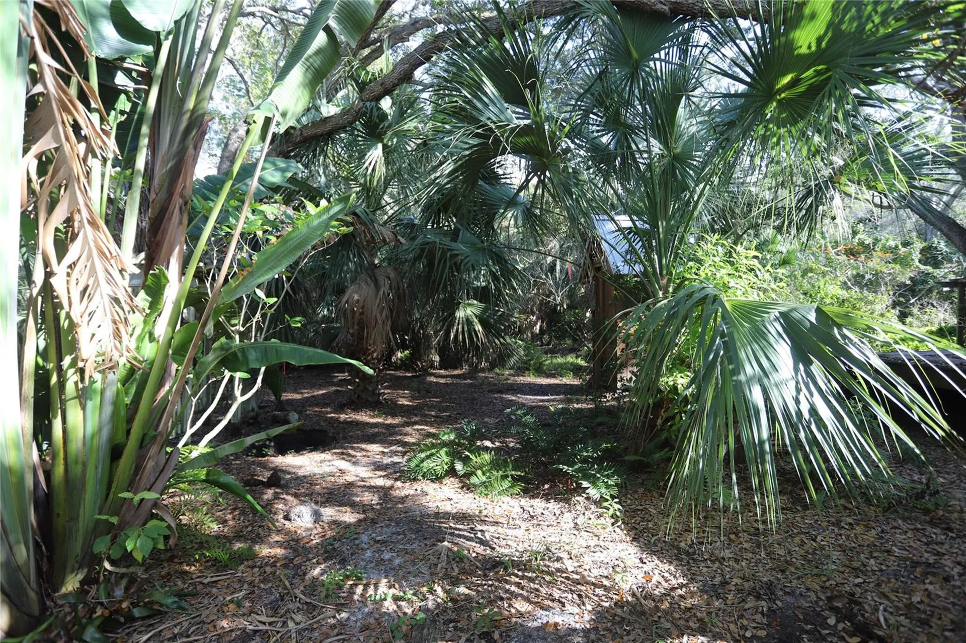 272 Orange Street Palm Harbor FL 34683