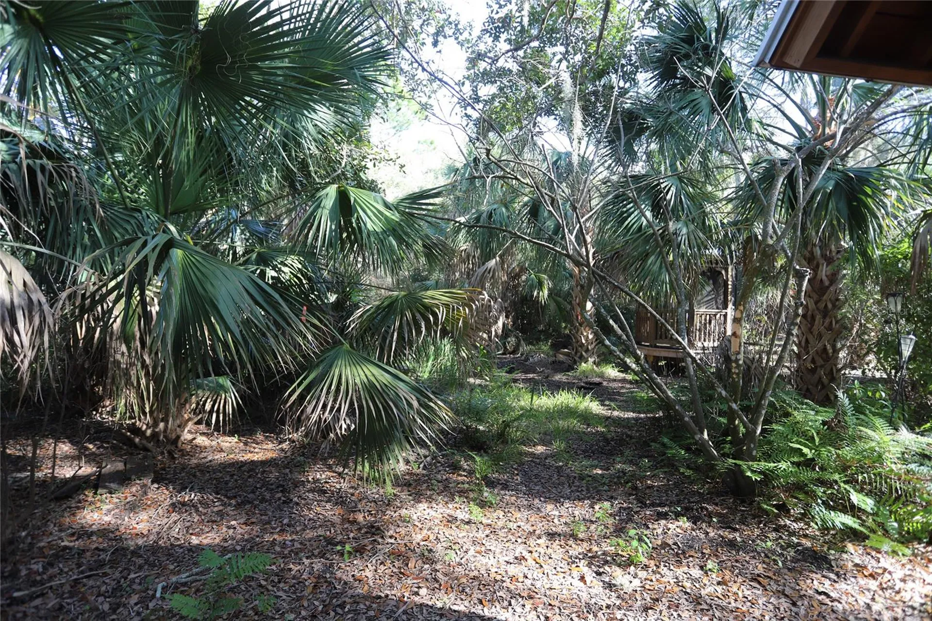 272 Orange Street Palm Harbor FL 34683