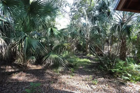 272 Orange Street Palm Harbor FL 34683