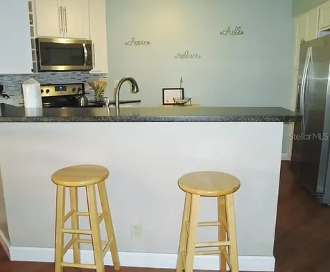 6073 Bahia Del Mar Boulevard St Petersburg FL 33715
