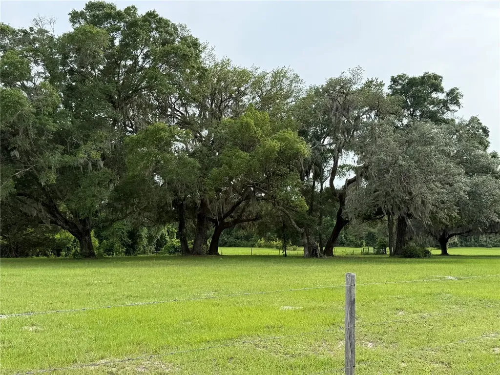 1360 S State Road 19 Palatka FL 32177
