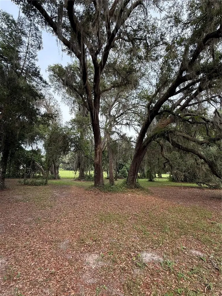 1360 S State Road 19 Palatka FL 32177
