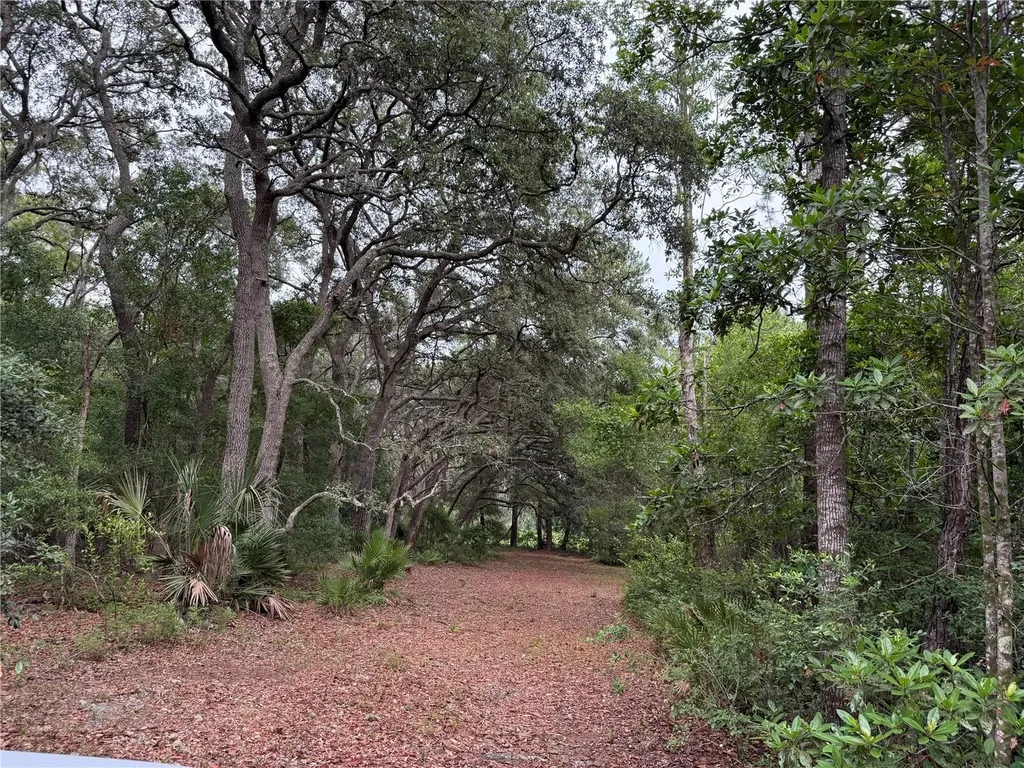 1360 S State Road 19 Palatka FL 32177