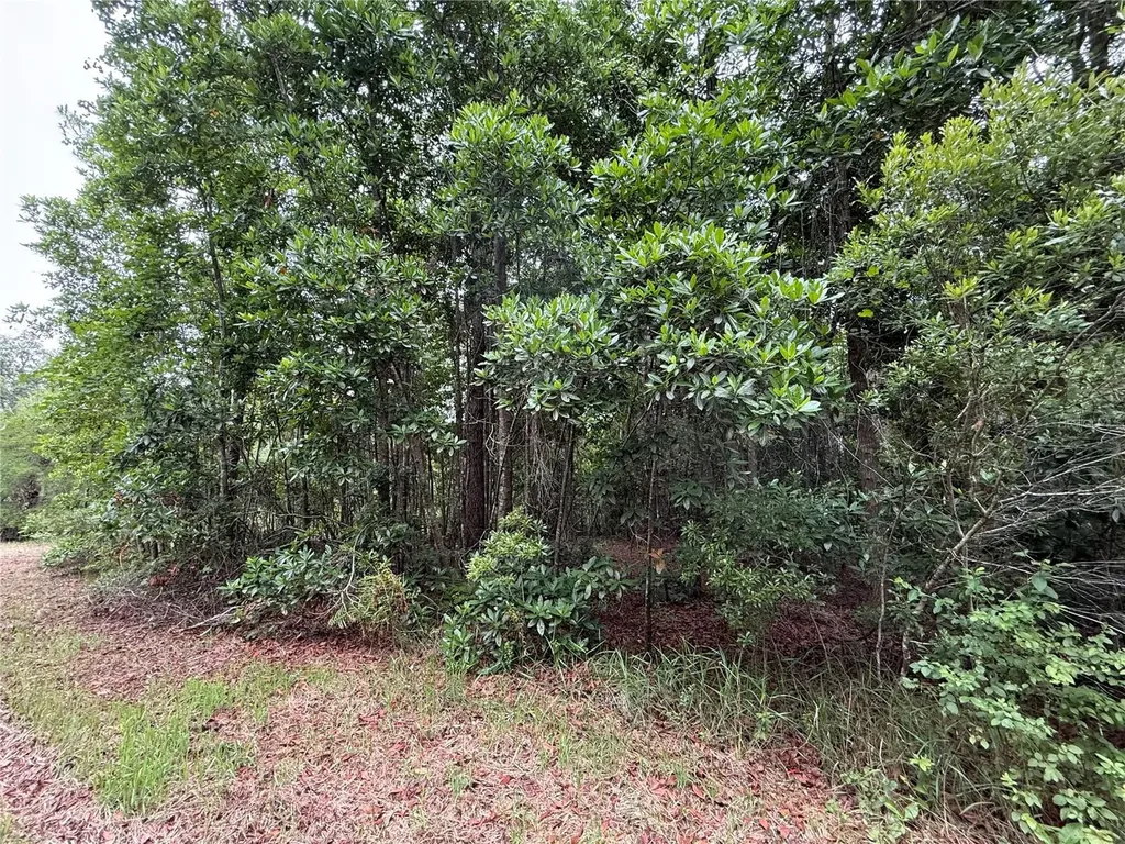 1360 S State Road 19 Palatka FL 32177
