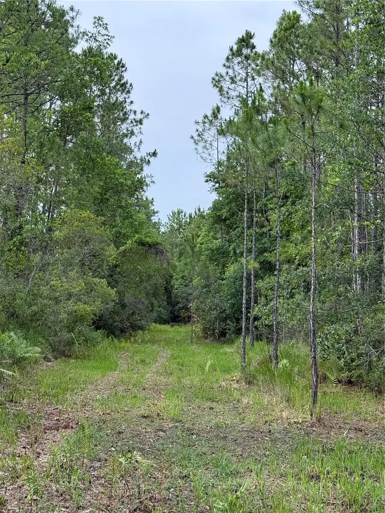 1360 S State Road 19 Palatka FL 32177