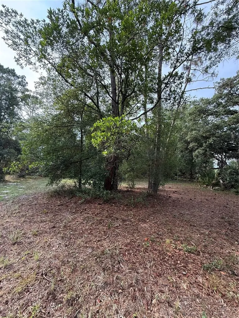 1360 S State Road 19 Palatka FL 32177