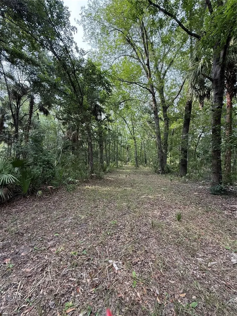 1360 S State Road 19 Palatka FL 32177