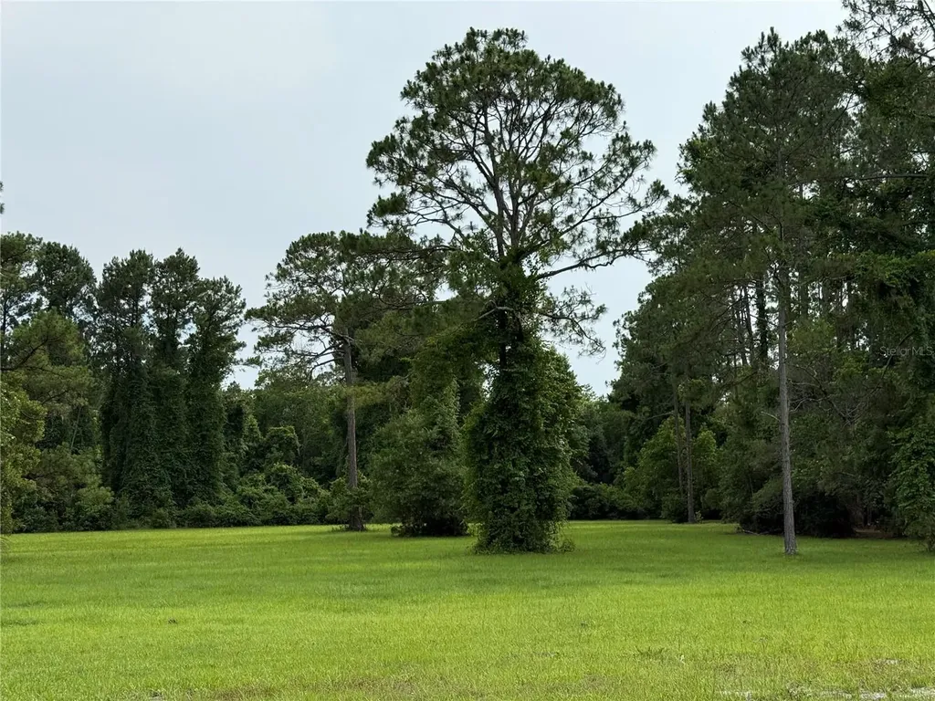 1360 S State Road 19 Palatka FL 32177