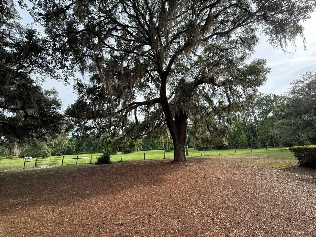 1360 S State Road 19 Palatka FL 32177