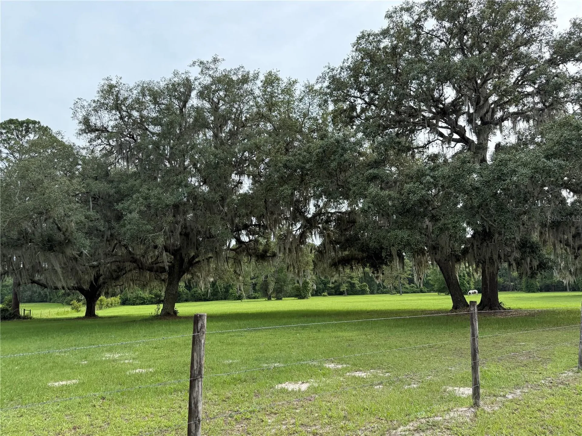 1360 S State Road 19 Palatka FL 32177