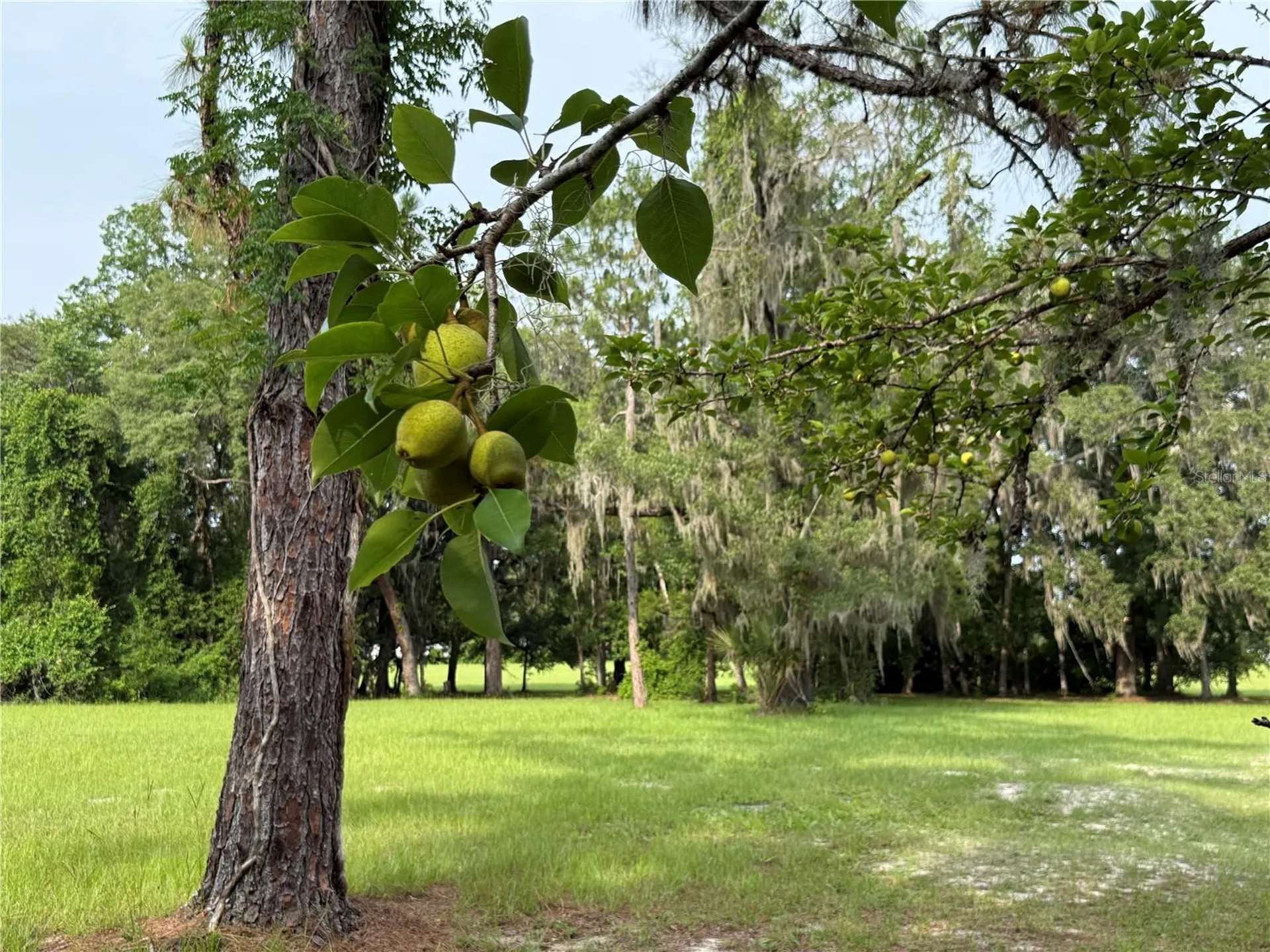 1360 S State Road 19 Palatka FL 32177