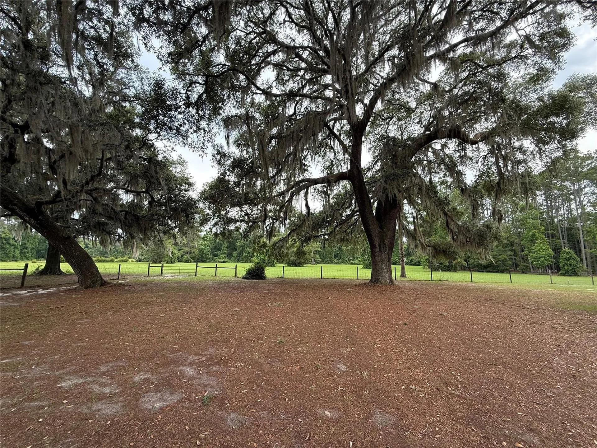 1360 S State Road 19 Palatka FL 32177