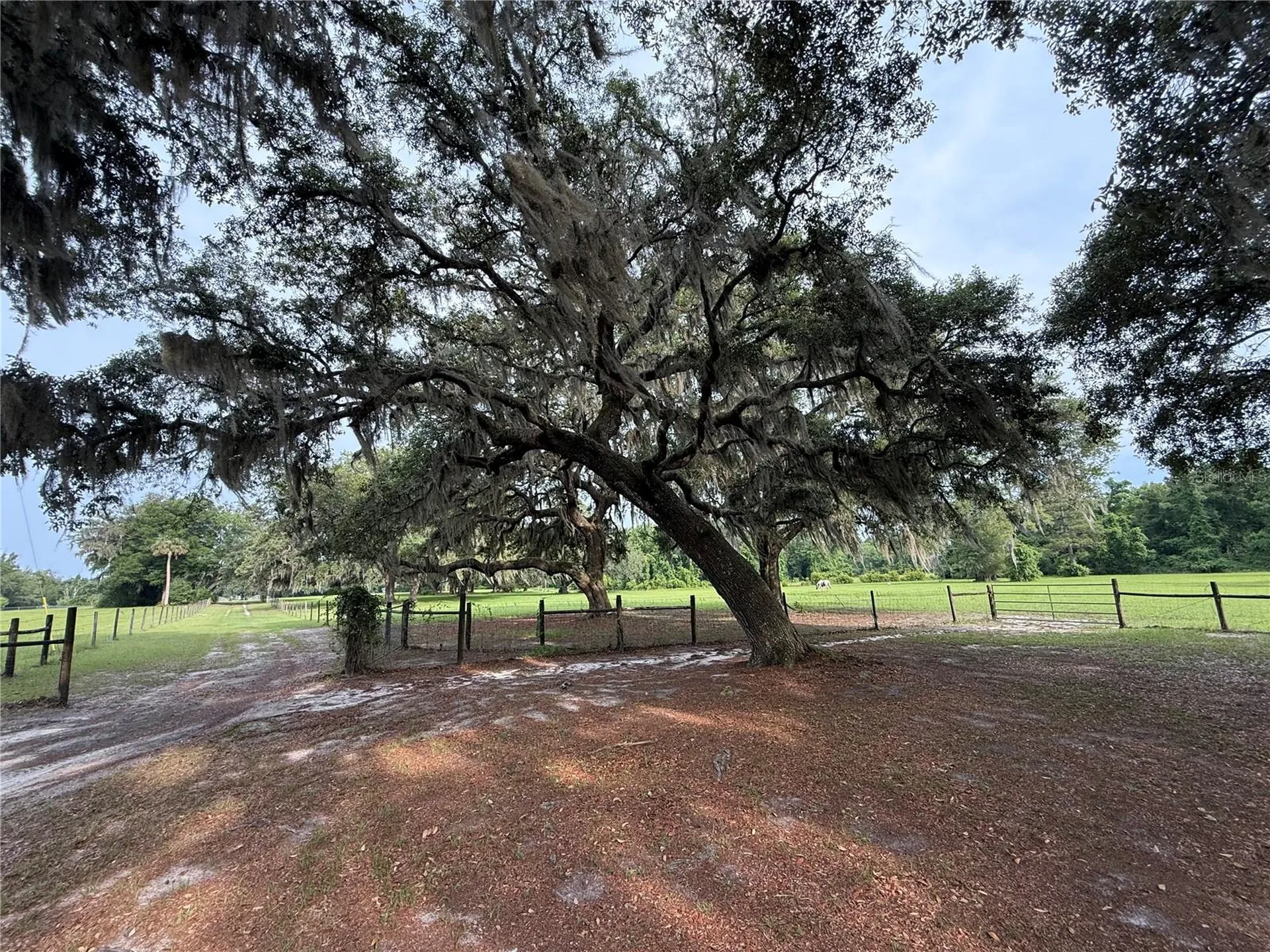 1360 S State Road 19 Palatka FL 32177