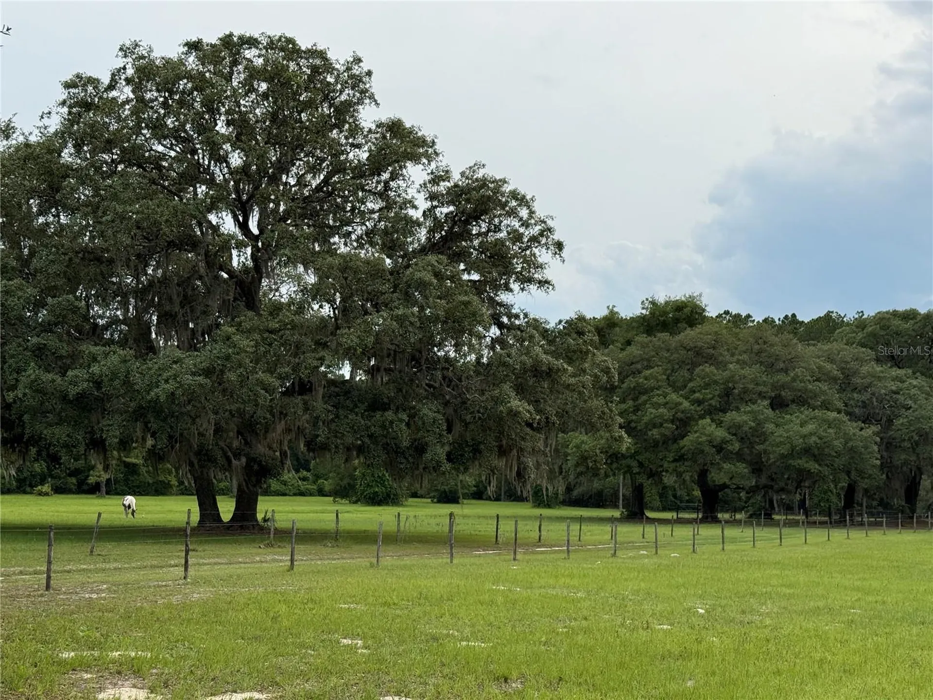 1360 S State Road 19 Palatka FL 32177
