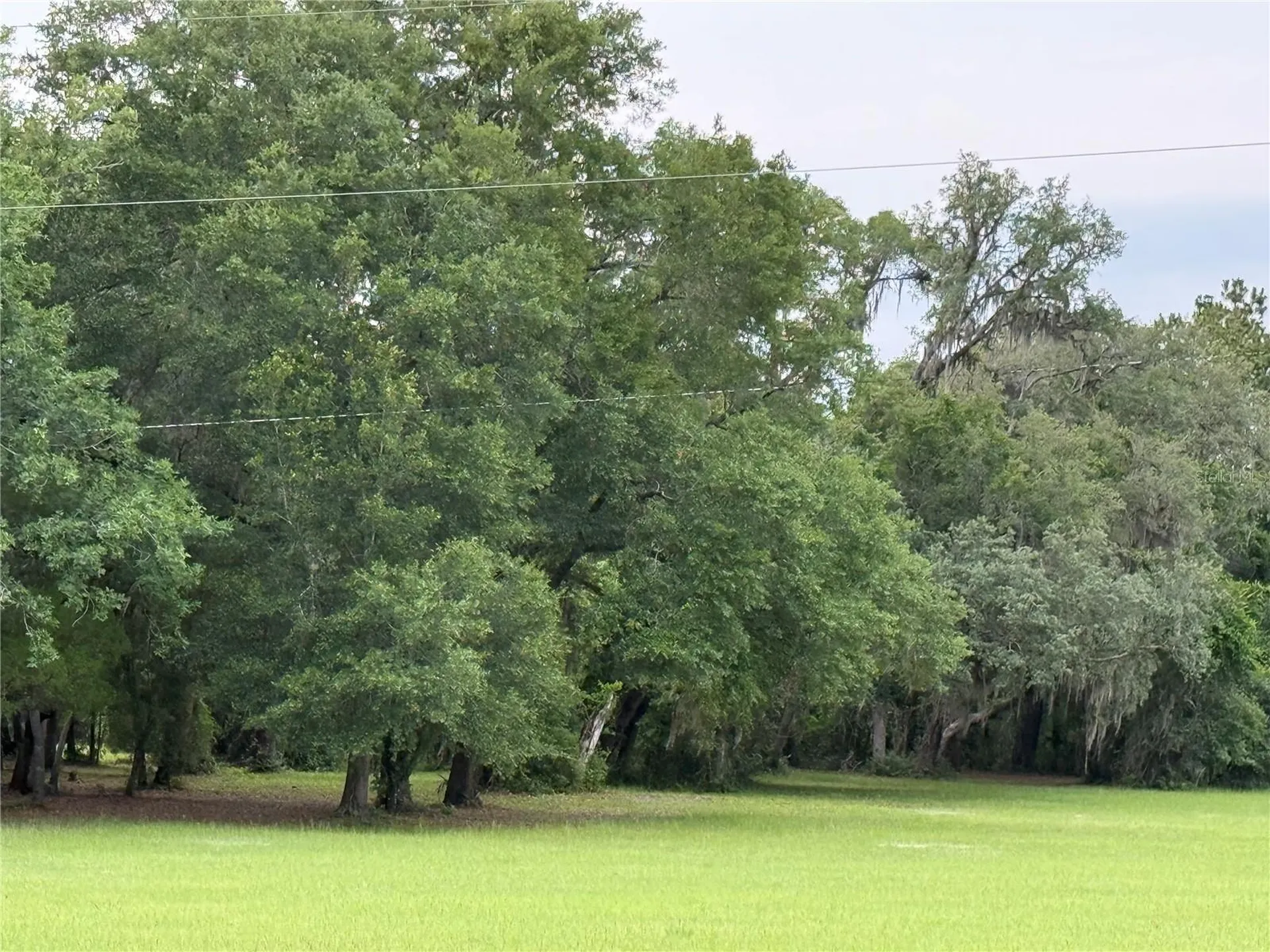 1360 S State Road 19 Palatka FL 32177