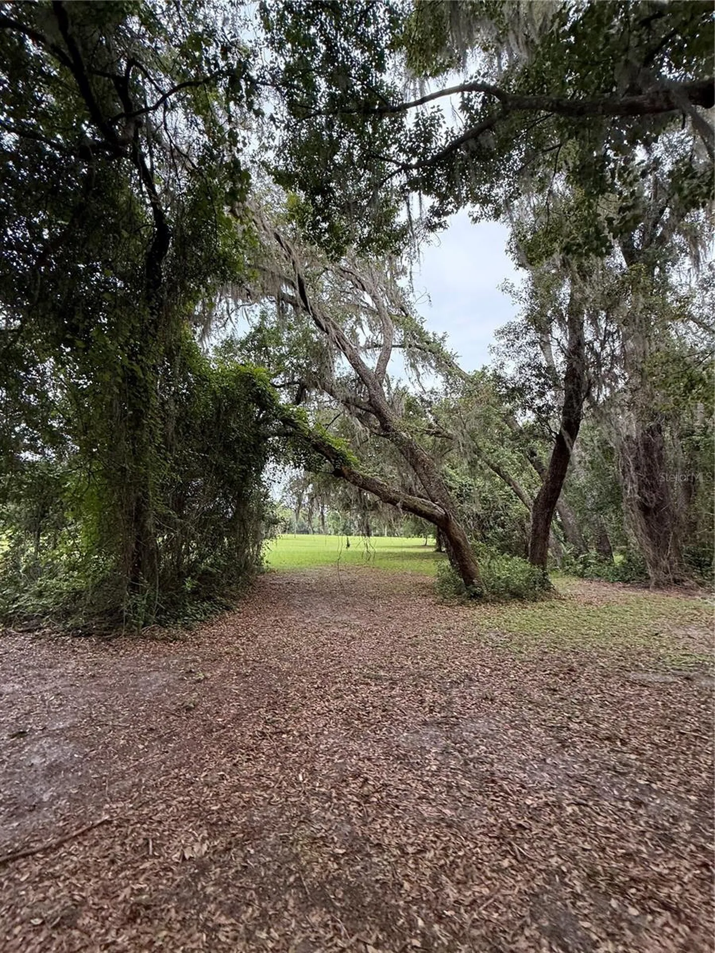 1360 S State Road 19 Palatka FL 32177
