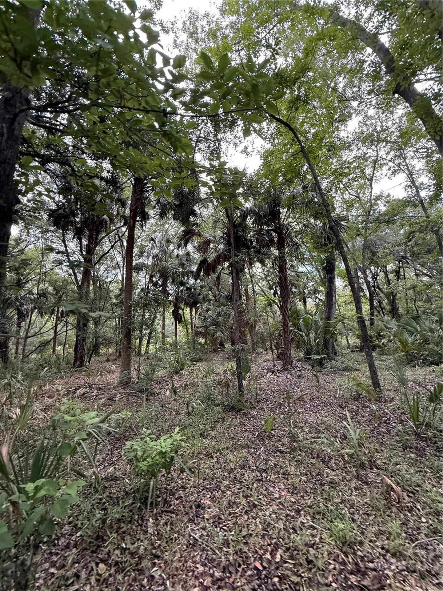 1360 S State Road 19 Palatka FL 32177