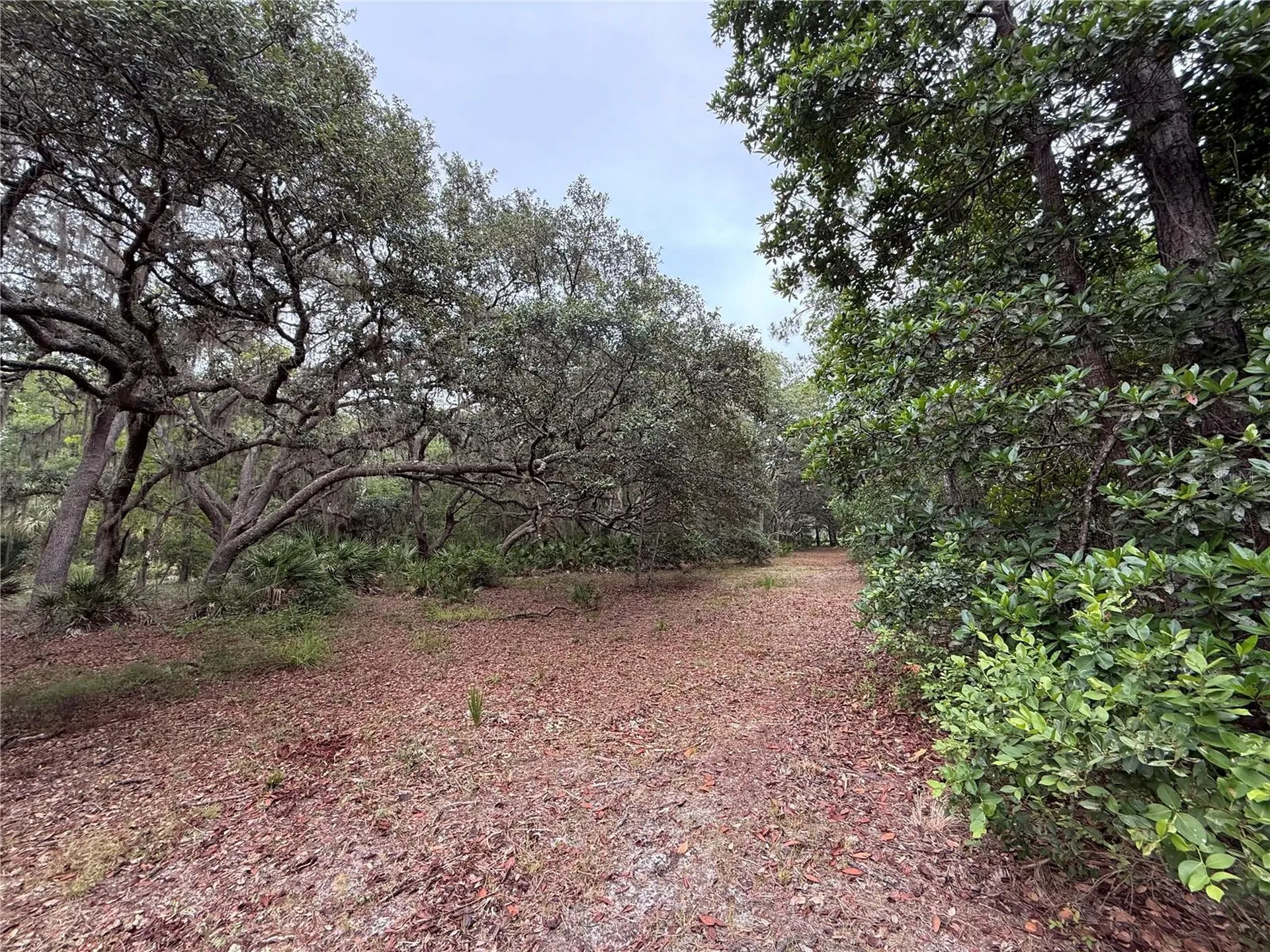 1360 S State Road 19 Palatka FL 32177