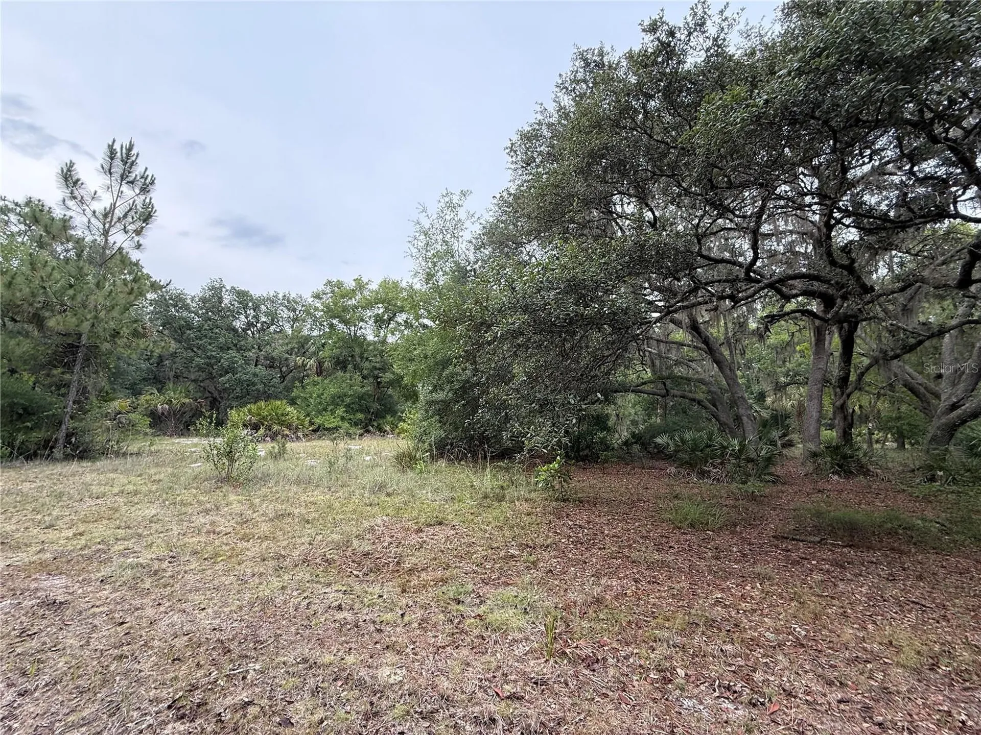 1360 S State Road 19 Palatka FL 32177