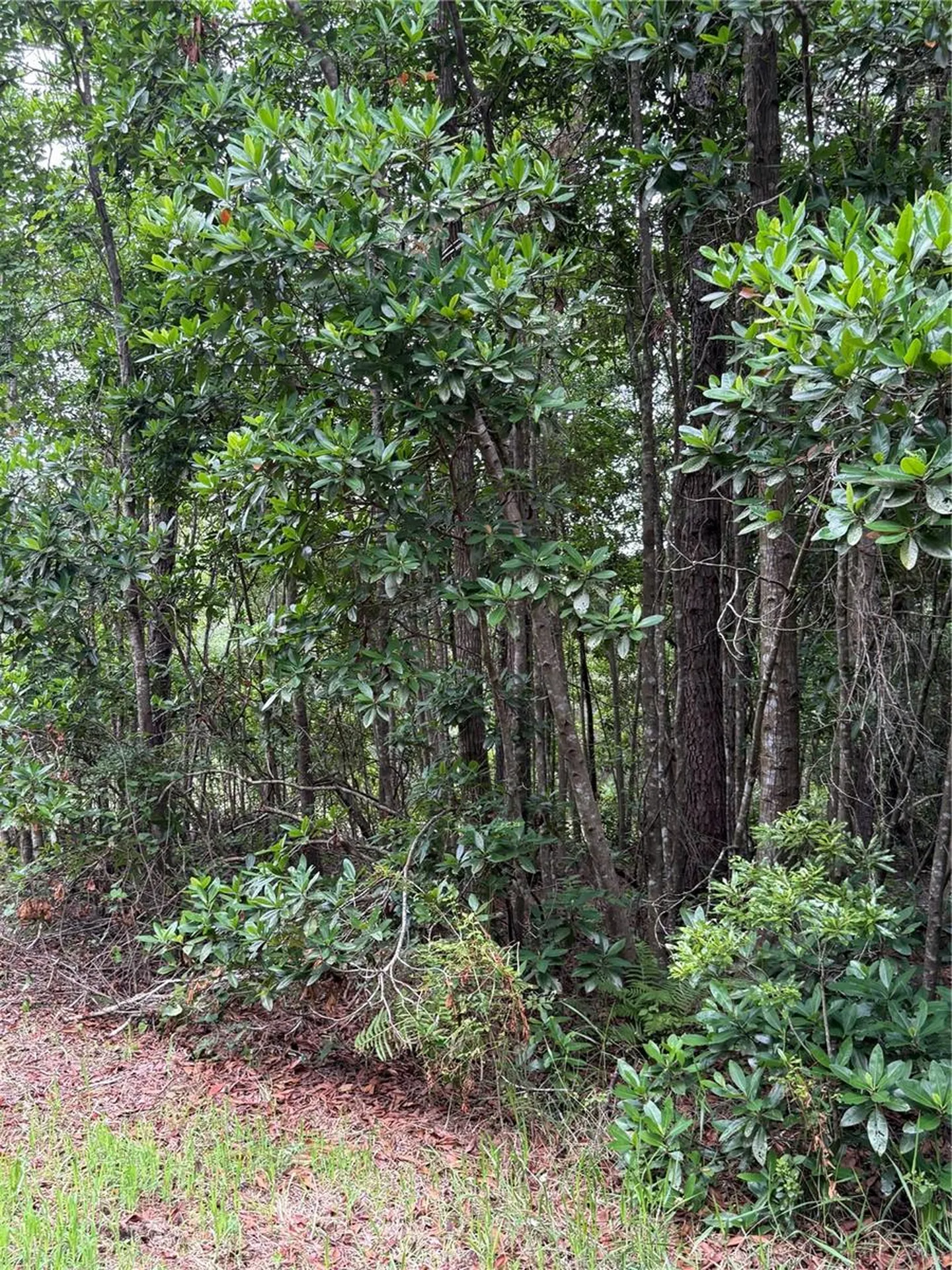 1360 S State Road 19 Palatka FL 32177