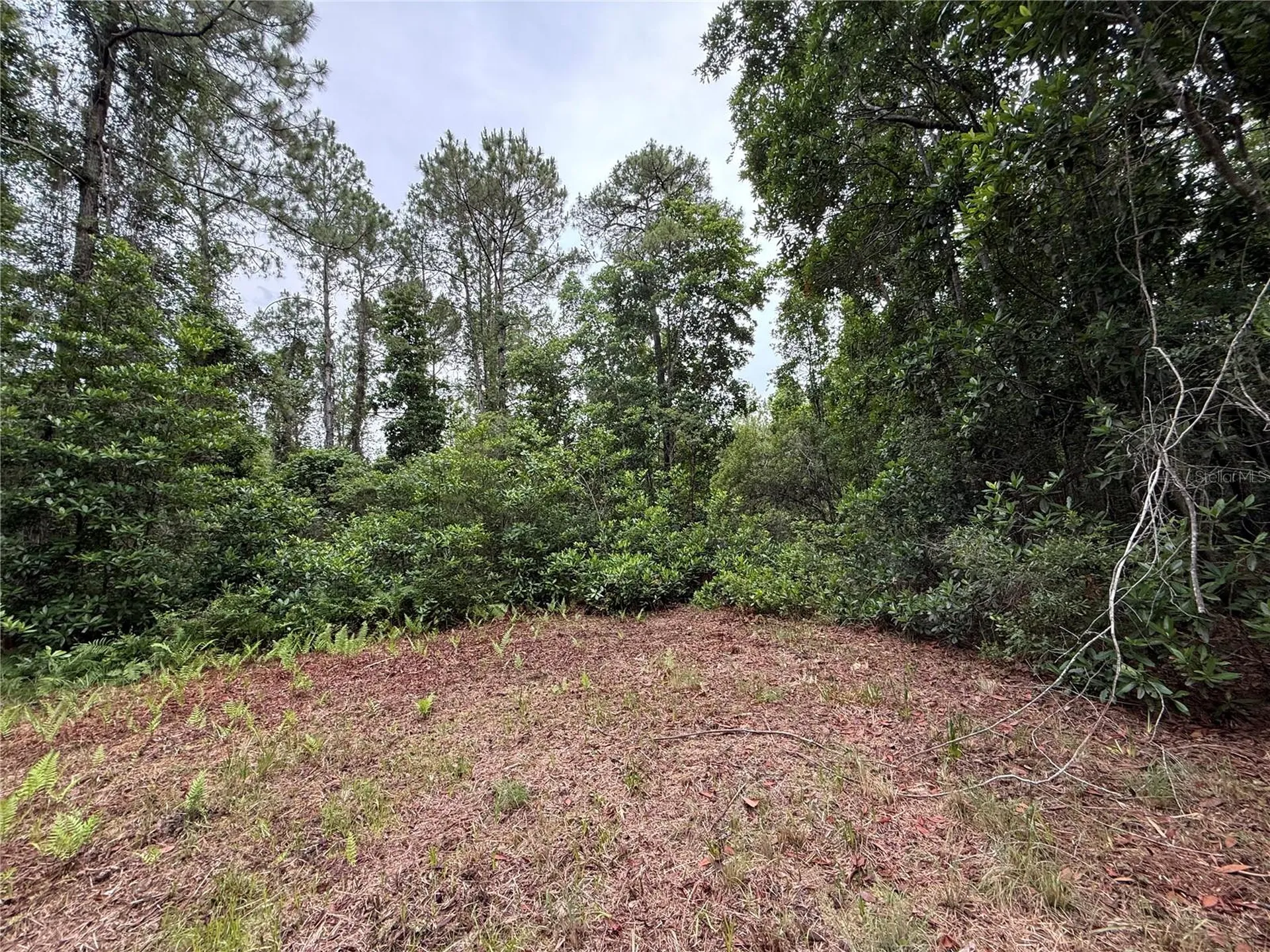 1360 S State Road 19 Palatka FL 32177