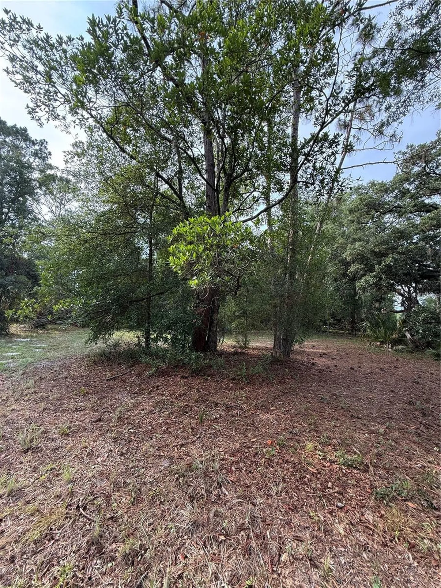 1360 S State Road 19 Palatka FL 32177