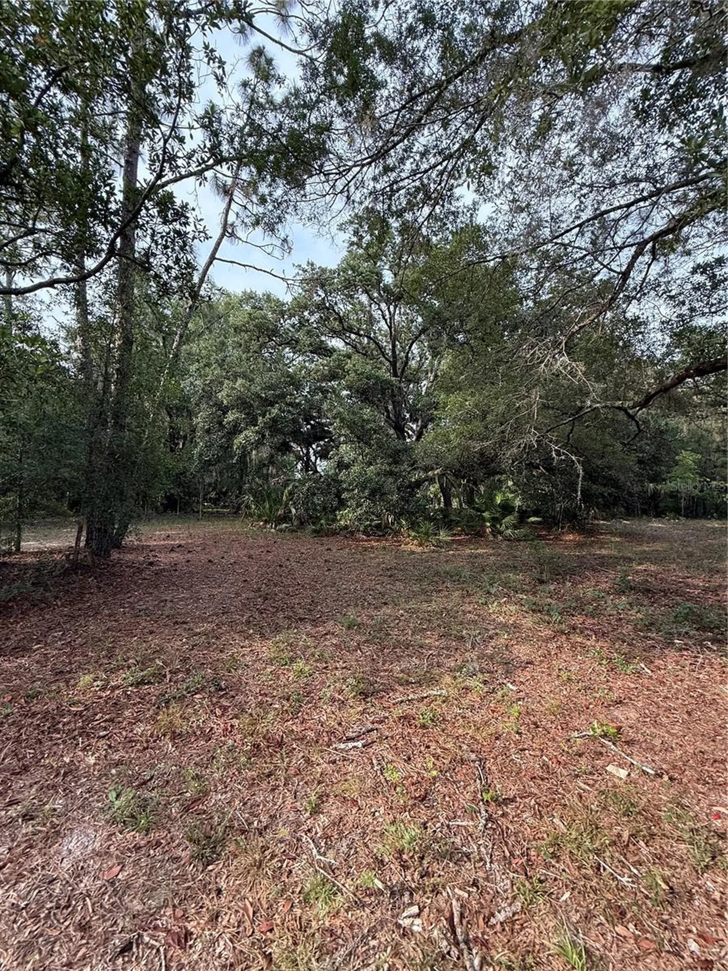 1360 S State Road 19 Palatka FL 32177