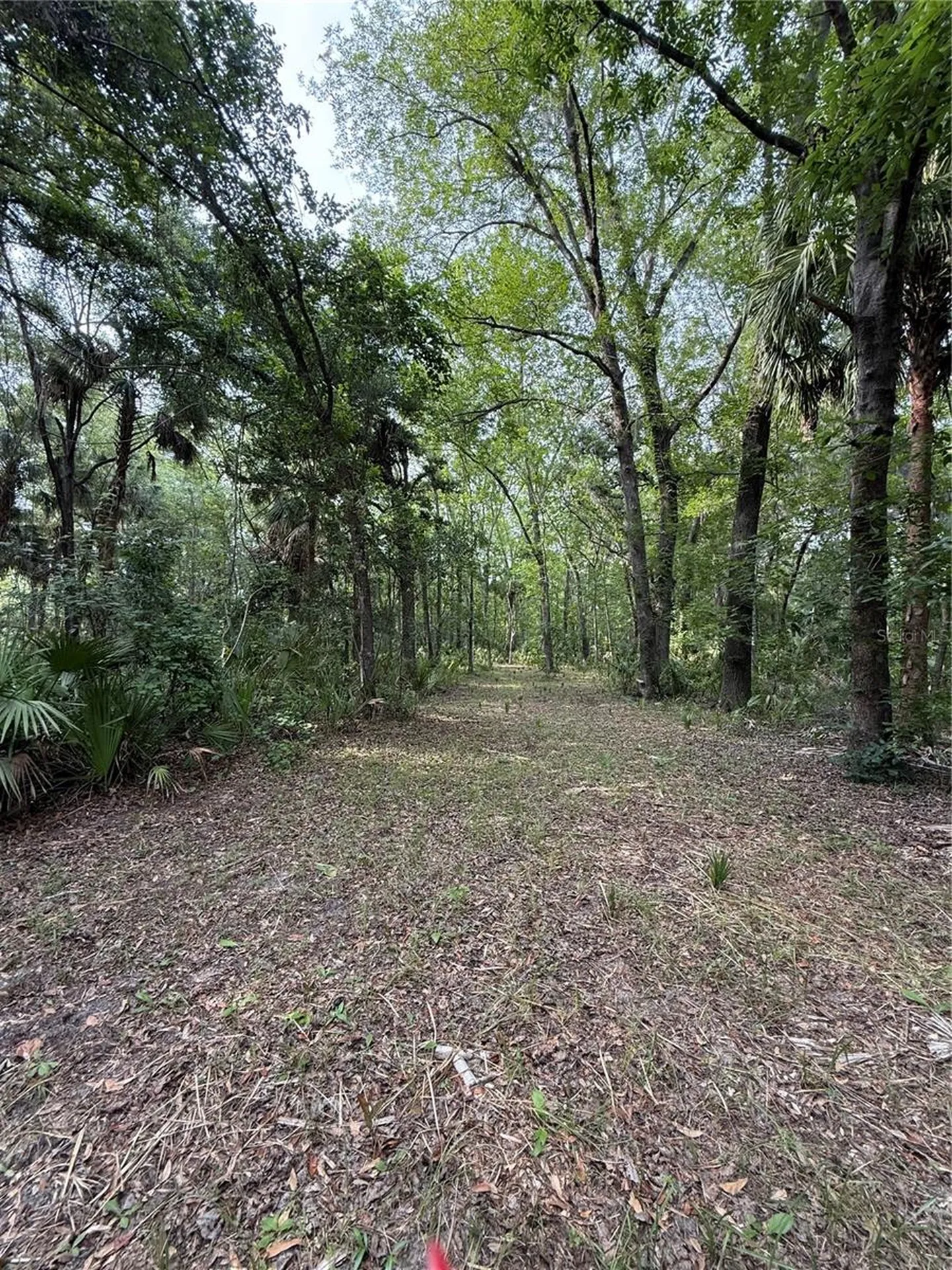 1360 S State Road 19 Palatka FL 32177