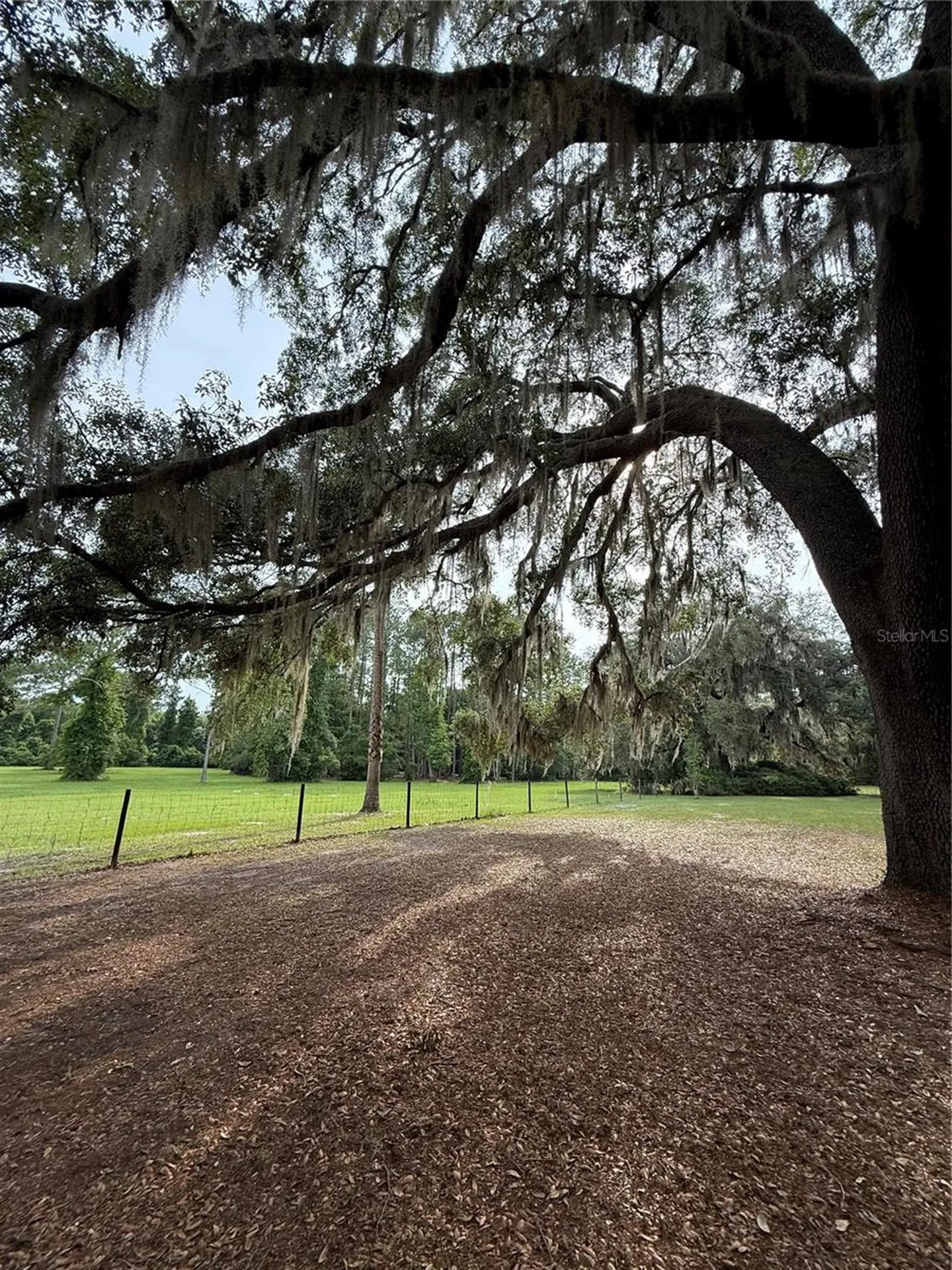 1360 S State Road 19 Palatka FL 32177