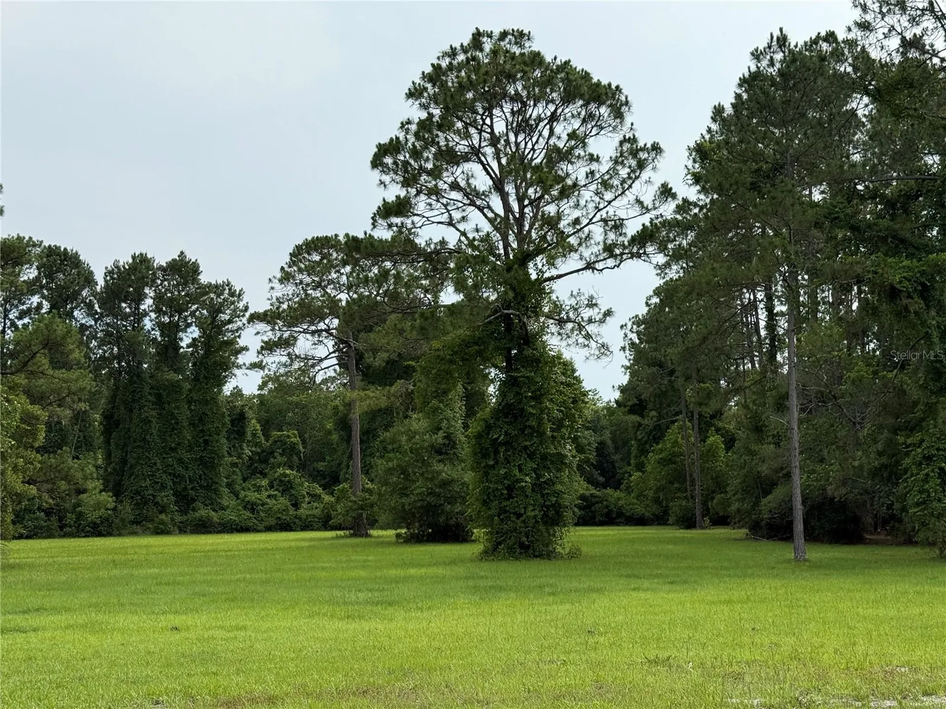 1360 S State Road 19 Palatka FL 32177