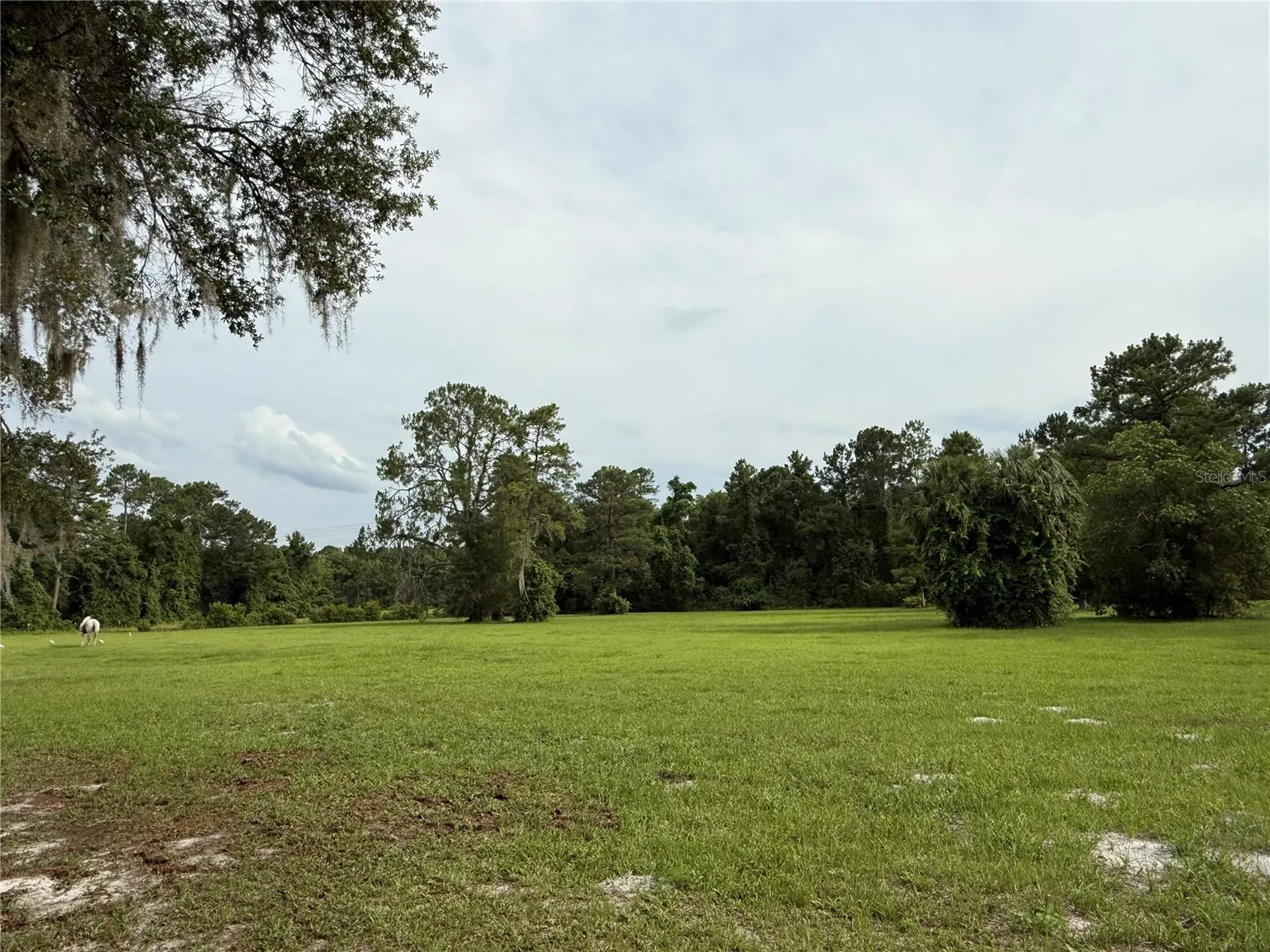 1360 S State Road 19 Palatka FL 32177