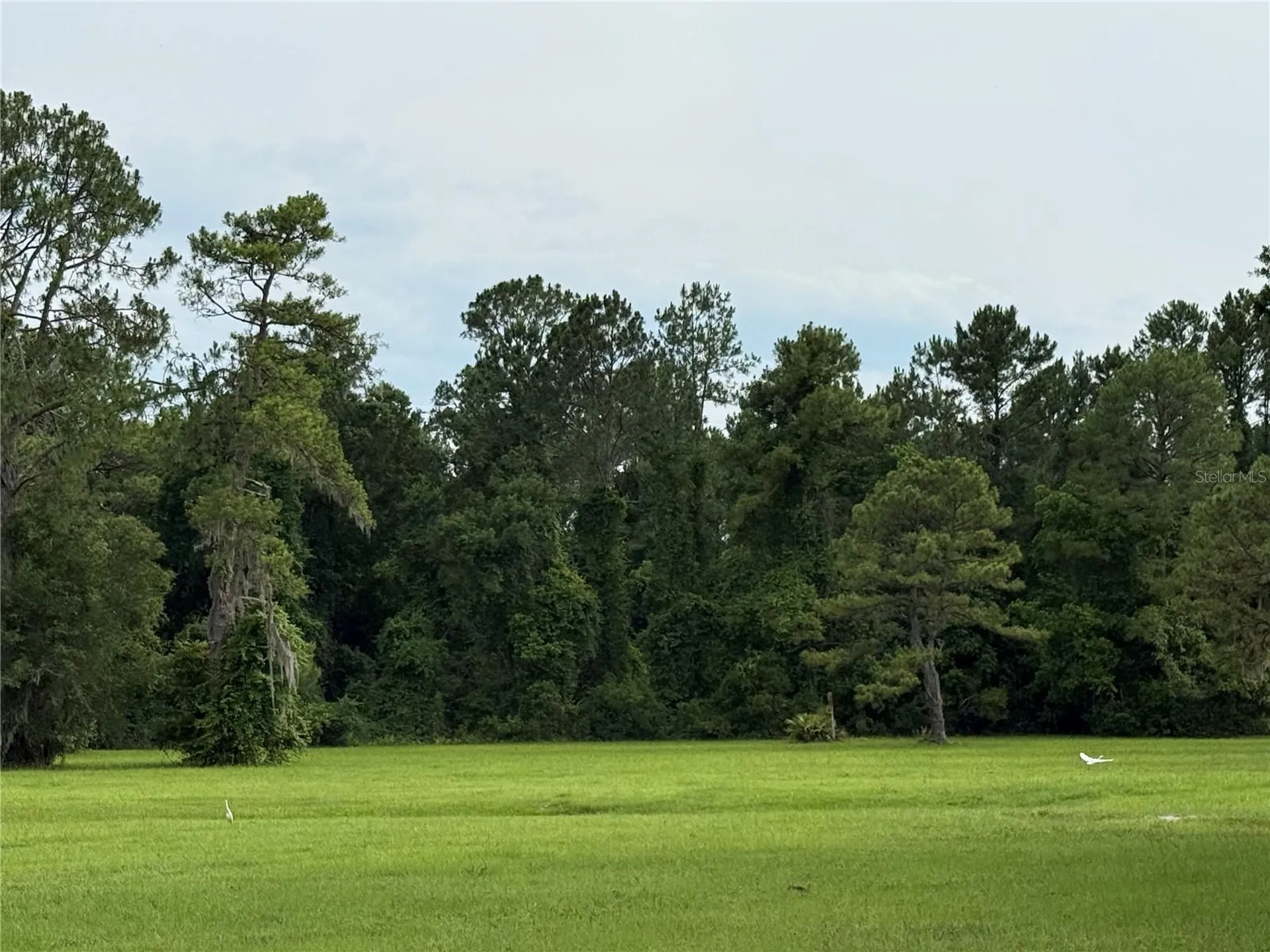1360 S State Road 19 Palatka FL 32177