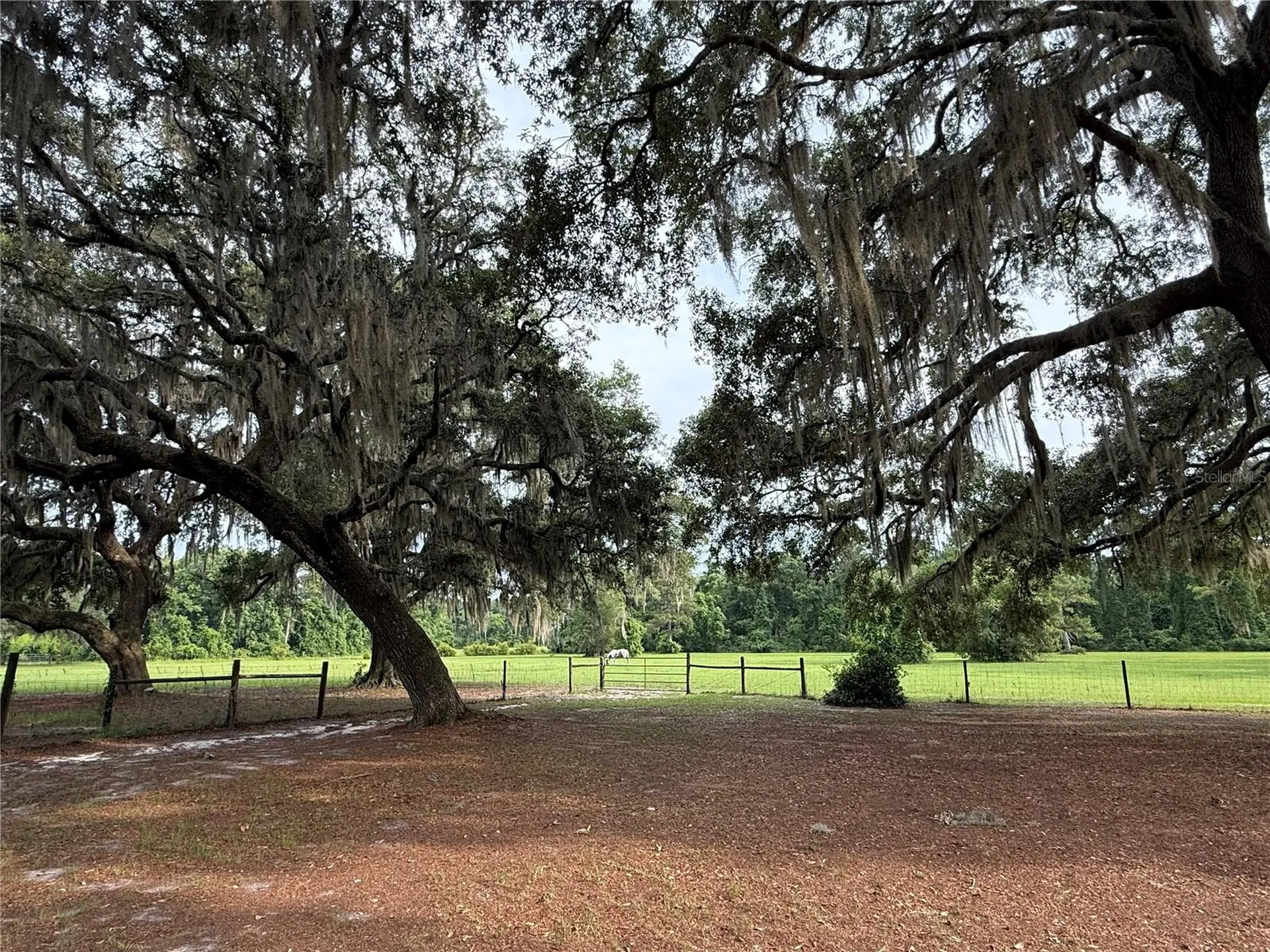 1360 S State Road 19 Palatka FL 32177