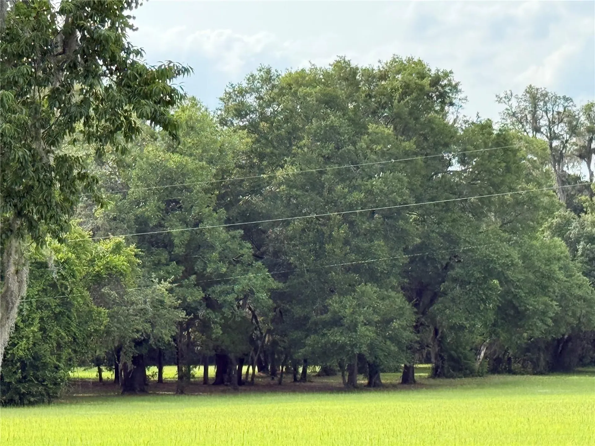 1360 S State Road 19 Palatka FL 32177