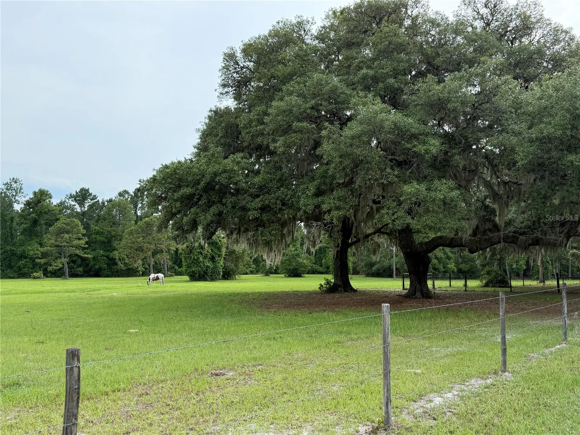 1360 S State Road 19 Palatka FL 32177
