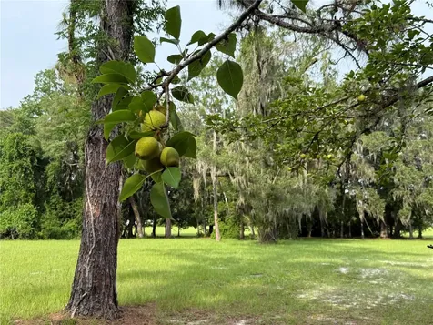 1360 S State Road 19 Palatka FL 32177