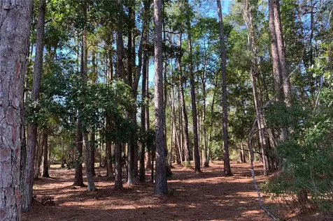 1360 S State Road 19 Palatka FL 32177