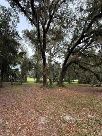 1360 S State Road 19 Palatka FL 32177