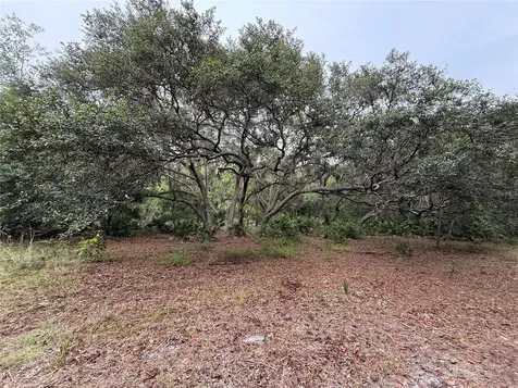 1360 S State Road 19 Palatka FL 32177