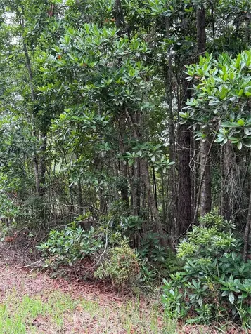 1360 S State Road 19 Palatka FL 32177